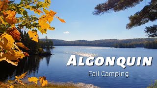 Fall Camping in Algonquin | Fall Colors 2024