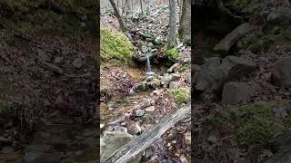 Soothing water on Hick Nut LOViT loop