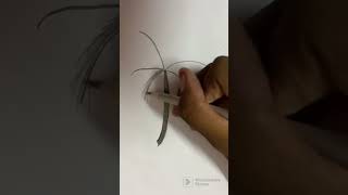 Pencil unboxing #asmr #drawing