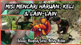 Misi Mencari Haruan, Keli dan Lain-Lain