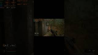 Новые Кабаны в Сталкере 2 #игры #сталкер #игра #stalker2 #gaming #