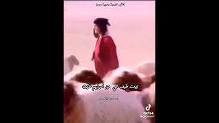 لحظات من العمر