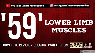 59 Lower Limb Muscles ? | Anatomy Decoded Lower Limb | Anatomy Lectures