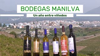 Bodegas Manilva, un año entre viñedos.