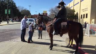 Around the Stock Show Grounds Day 15