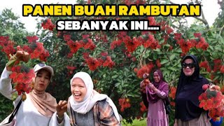 NENGOKIN KEBON NYA BU SULTAN