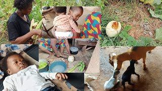 VILLAGE VLOG: I VISITED MY MOTHER'S FARM//HOW GOAT GAVE BIRTH