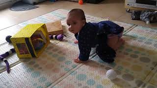 Goni learning to crawl