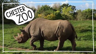 CHESTER ZOO | DAY TRIP | SEPT 2021