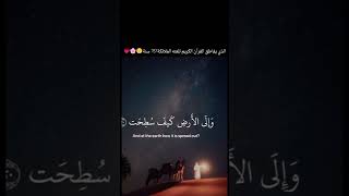 الذي يقاطق القرآن الكريم تلعنه الملائكة 70 سنة😌🌸💗