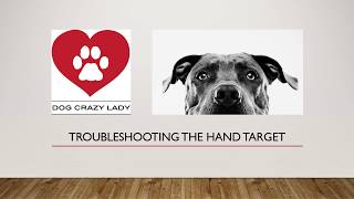 Hand Target - Troubleshooting