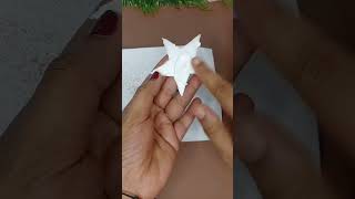 "How to Create a Stunning DIY Christmas Star Decor Using Disposable Plates! 🌟🎄 #christmas