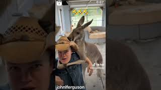 choked out by a kangaroo!! #kangaroo #choking #funny #lol #virallol #reel #toktik #shorts