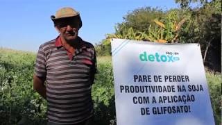 PROGEN DETOX BR DA TIMAC AGRO! ANTONIO JUNG - FLORESTA - PR