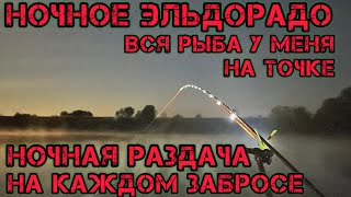 НОЧНОЕ ЭЛЬДОРАДО ВСЯ РЫБА У МЕНЯ НА ТОЧКЕ НОЧНАЯ РАЗДАЧА на КАЖДОМ ЗАБРОСЕ