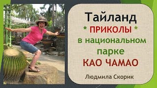 Тайланд  Приколы  Комедийные моменты