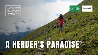 A Herder's Paradise | Stories from the Ground: Northeast India | The Habitats Trust Films