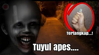 🔴tuyul apesss mau op3rasi malah ke tangkap....