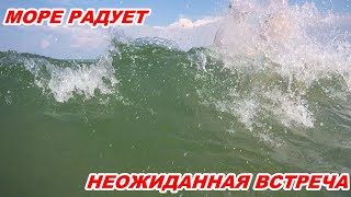 АНАПА 02.08.2020 МОРЕ РАДУЕТ. НЕОЖИДАННАЯ ВСТРЕЧА