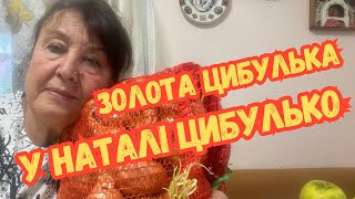 Золота цибулька у Наталі Цибулько/Наталя Фаліон