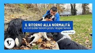 Il ritorno alla normalità e considerazioni post esperienza con Kira