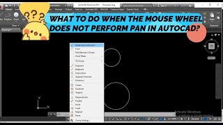 WHAT TO DO WHEN THE MOUSE WHEEL DOES NOT PERFORM PAN IN AUTOCAD?