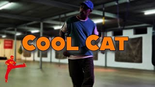 Cool Cat