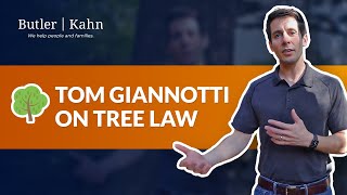 Tom Giannotti on Tree Law