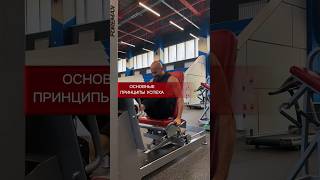 ОСНОВНЫЕ ПРИНЦИПЫ УСПЕХА