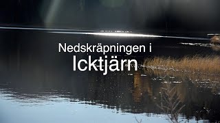 Nedskräpning i Icktjärn