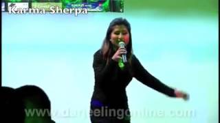 Singer Anju panta, Deepak Limbu, Durmush Suntali live concert in singapore