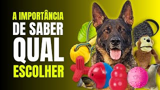 BRINQUEDOS PARA CACHORRO: VOCÊ ESTÁ ACERTANDO NA ESCOLHA?