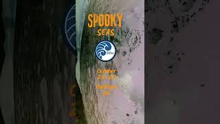 Peale’s Dolphins - SPOOKY SEASON #Portland presented by local #nonprofit Meet the Ocean