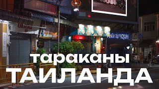 ТАРАКАНЫ  Тайланда. Седьмой день на Пхукете.