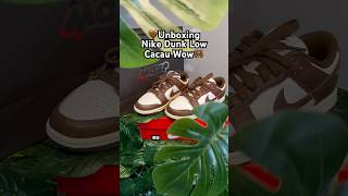 Unboxing do meu presente🐻#nike #nikedunk #nikedunklow #nikedunksb #unboxing