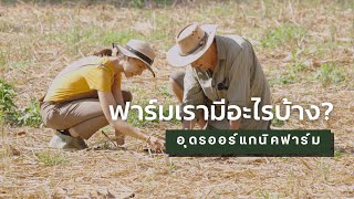 มาทำความรู้จักฟาร์มของเรากัน | Udon Organic Farm