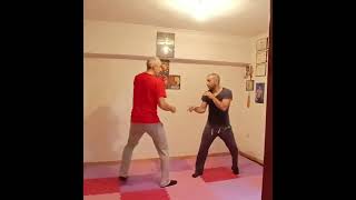 JEET KUNE DO TRAINING TECHNIQUES