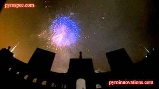 Jellyfish Fireworks