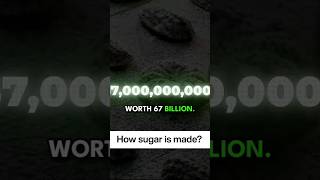 How sugar is made #sugar #factoryproduction #shorts