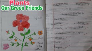 EVS Lesson- Plants Our Green Friends || Word Bank, Q&A || CBSE Grade 3rd || Kidos Edu Point