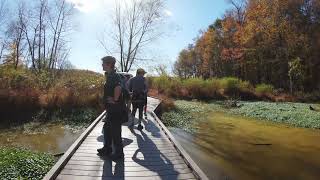 Huntley Meadows Park 4K Walking Tour/Alexandria, Virginia/Washington, D.C./DMV/Wetlands/Boardwalk