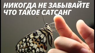 №237. НИКОГДА НЕ ЗАБЫВАЙТЕ, что такое Сатсанг. Роберт Адамс