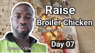 Day 07: How to Raise Broiler Chicken at home.