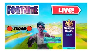 🔴Fortnite Live🔴Hype cup tournament! (Face Cam!)