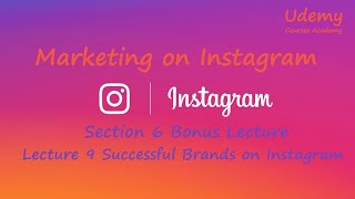 Marketing on Instagram – Sec 6 Bonus Lecture – Lec 9 Successful Brands on Instagram