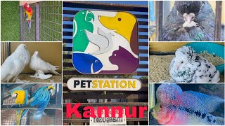 Kannur Mattool Pet Station Trip. Beautiful and variety Pets