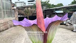 Animatronic Giant Flowers 1