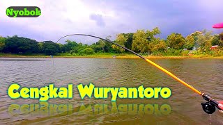 Mancing Nyobok Terbaru || Spot Jembatan Cengkal Wuryantoro