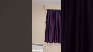 Adventurous Mouse Climbs Around Premier Inn Room || Dogtooth Media