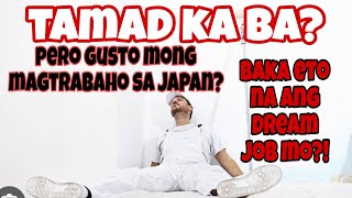 Paano magtrabaho sa Japan | Agency sa Japan | Painter sa Japan